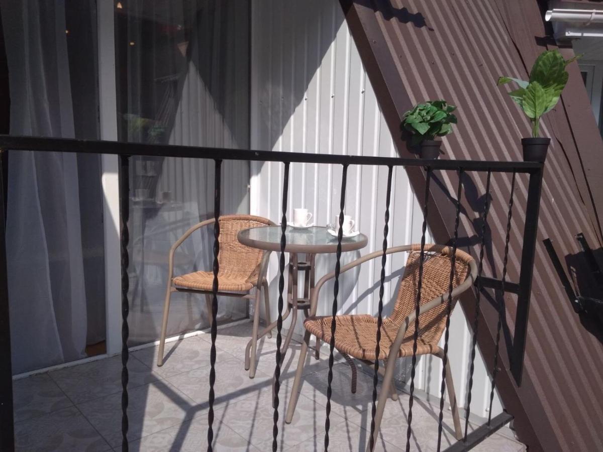 New Studio In The City Center - Mykoly Khvylovoho Str 5-2 ハルキウ エクステリア 写真